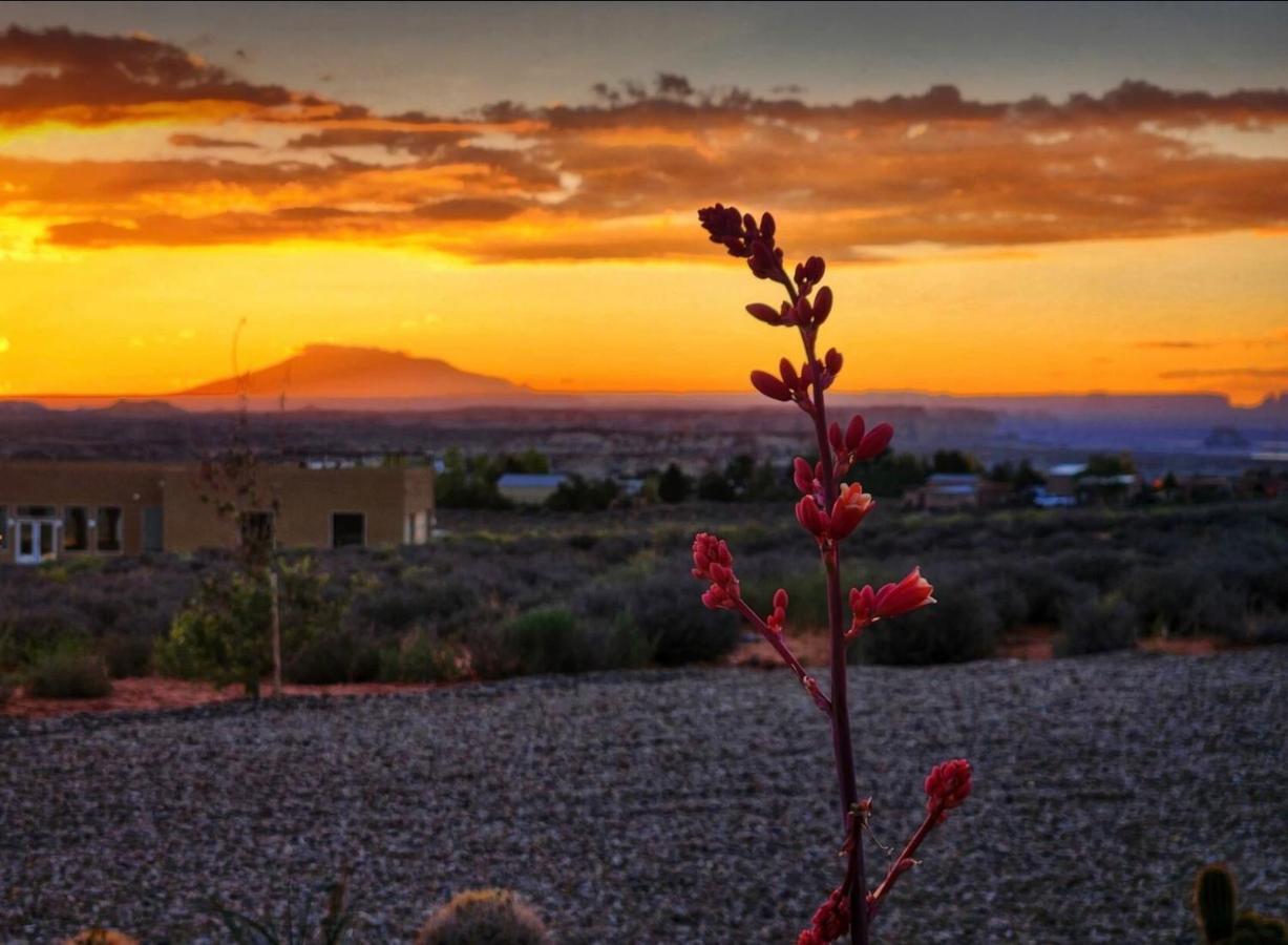 Canyon Oasis Suite With Grand Mesa View ビッグ・ウォーター エクステリア 写真